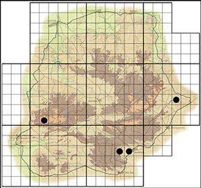 Cupidopsis cissus Waterberg distribution